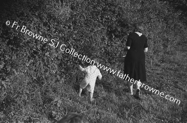 GATHERING BLACKBERRIES O'DONOVAN CHILDREN